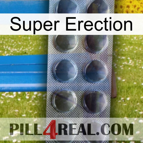 Super Erection 30.jpg